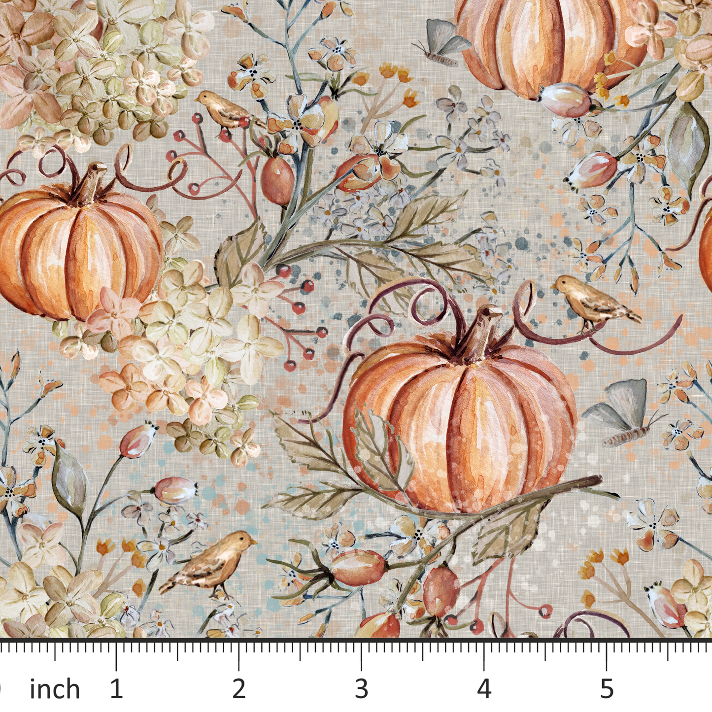 Wharfedale Studio - Neutral Pumpkins