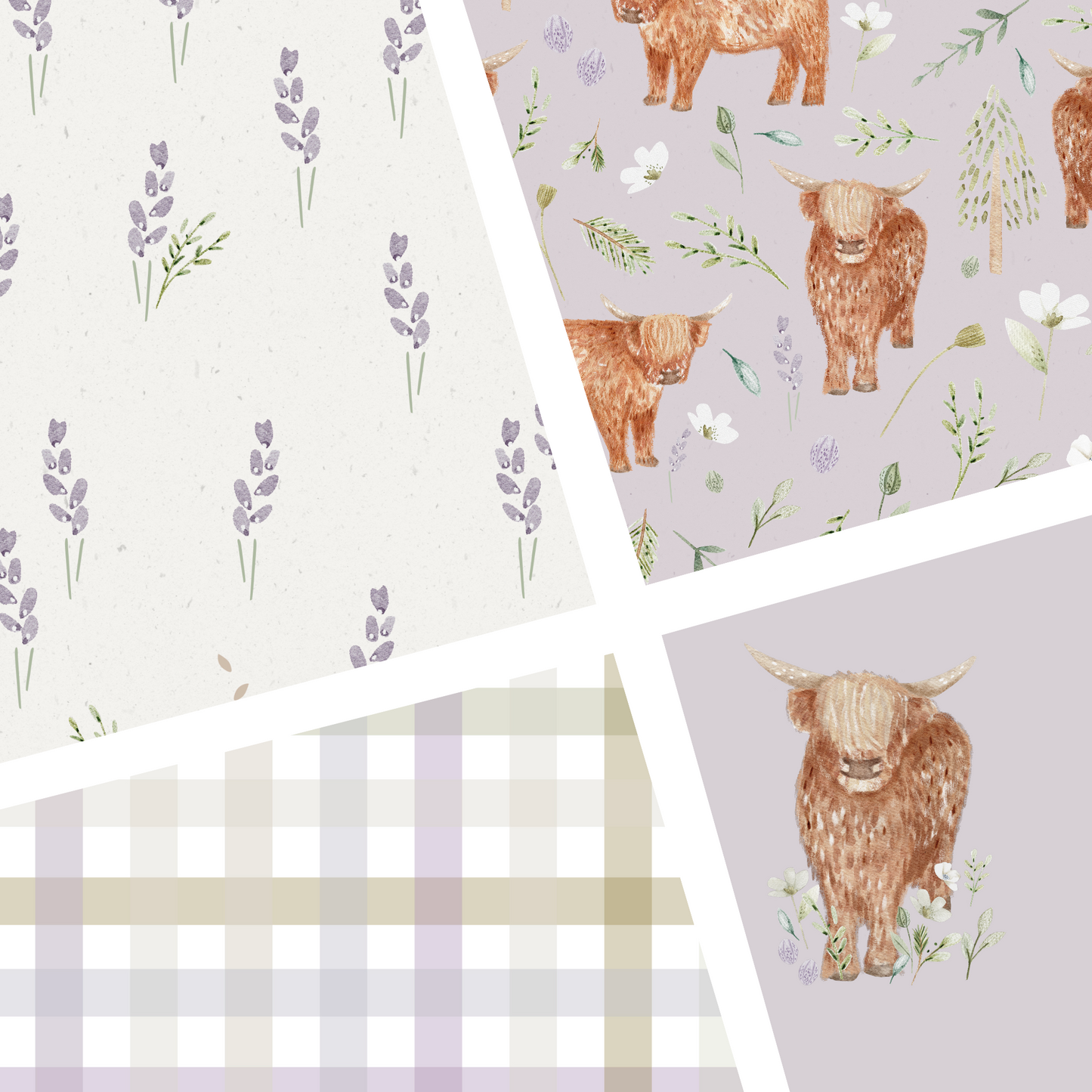 Lumelo and Ginger - Thistle - Highland Cow - on Lavender